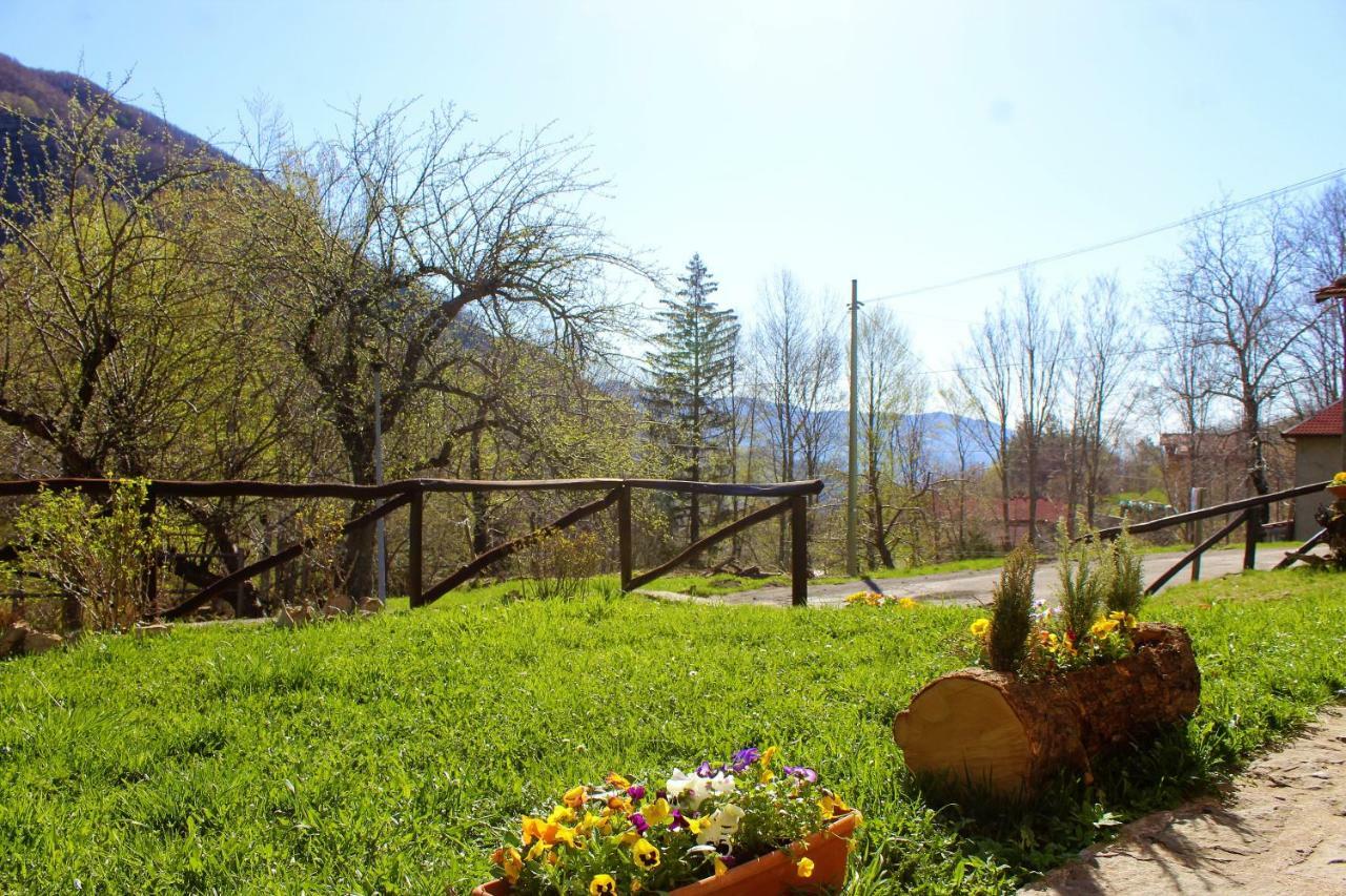 Cottage Abetone La Capanna In Tuscany エクステリア 写真